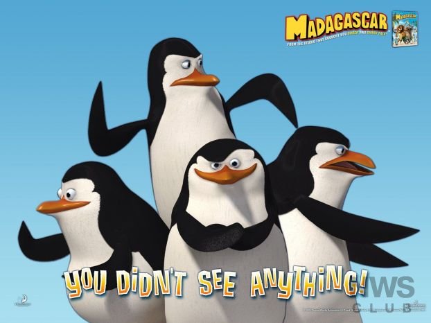 1181638340_wallpapers__madagascar2