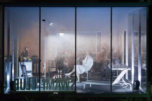 Swamp Club - Philippe Quesne/ Vivarium Studio.