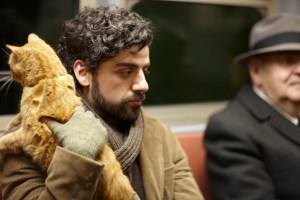 insidellewyndavis2