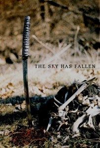 TheSkyHasFallen
