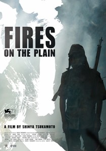 fires_on_the_plain