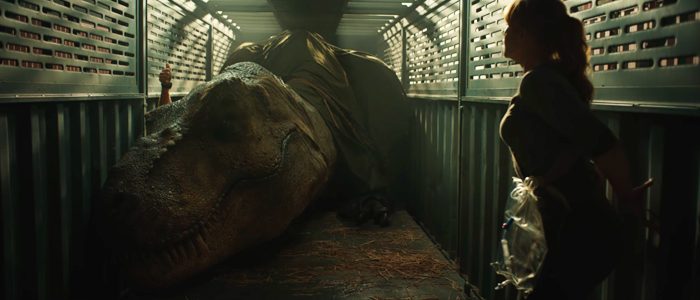 Bryce Dallas Howard in the film.