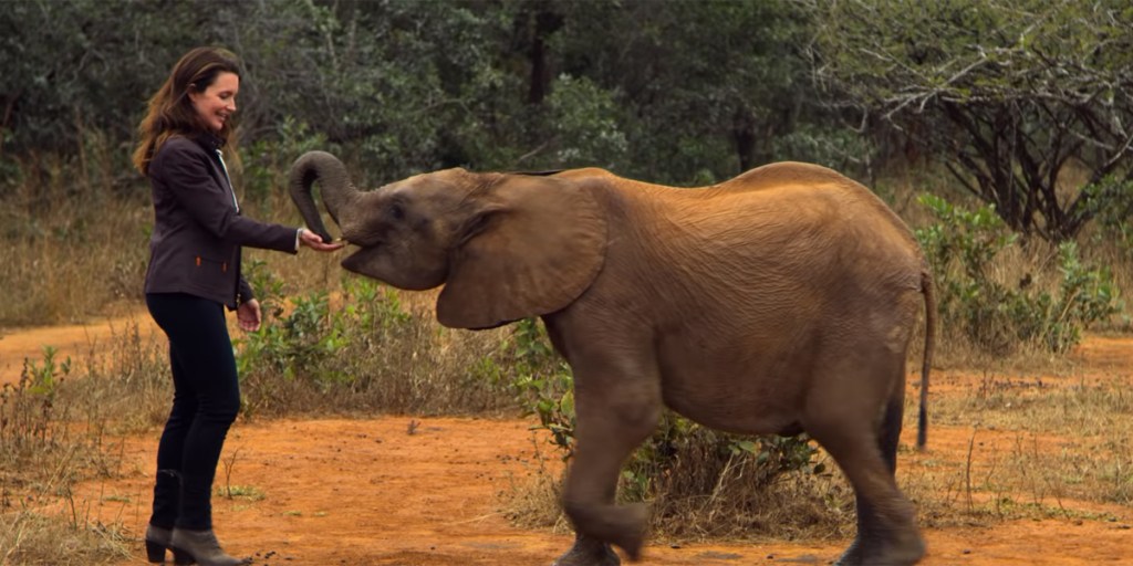 Kate (Kristin Daivs) feeding a baby elephant.