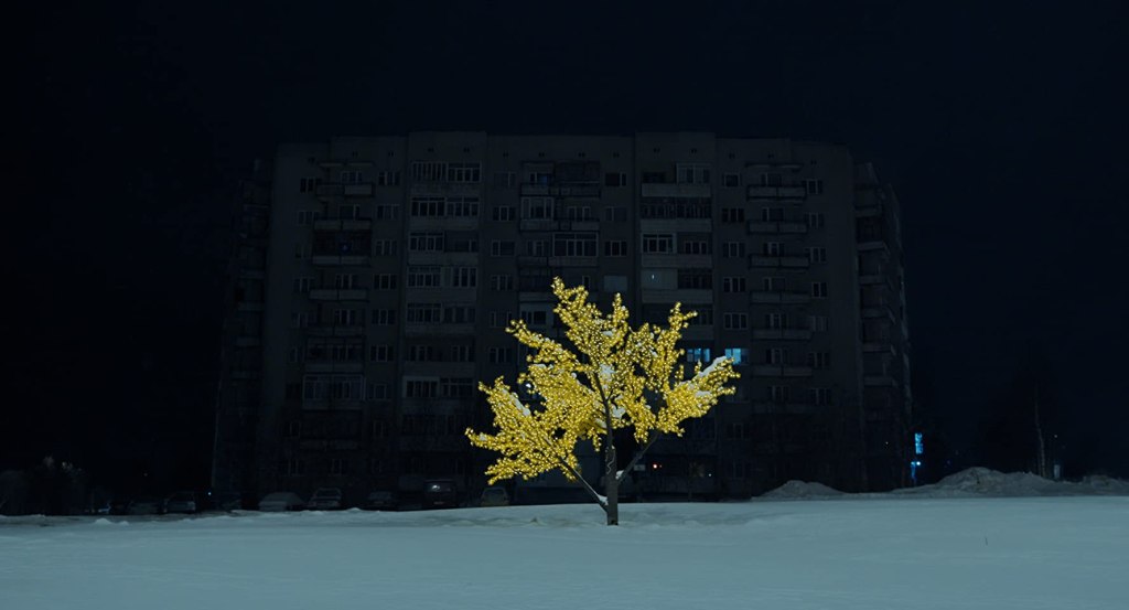 A tree decorated with lights in the darkness in front of a huge apartment complex.