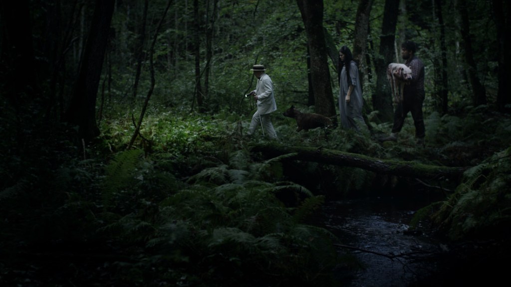 A group of weirdly dressed people walking through the forest. 