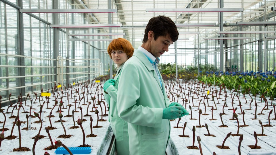 Alice (Emily Beecham) and Chris (Ben Whishaw)  standing between rows of flowers not yet in bloom.