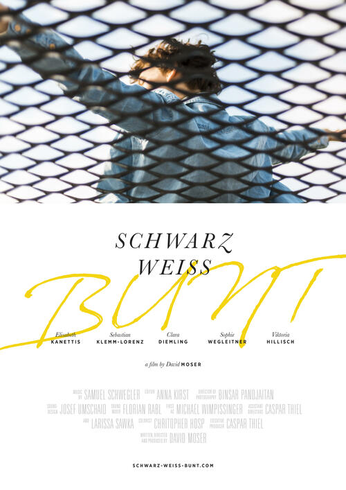The film poster showing Matilda (Clara Diemling), her arms wide open, as seen through a wire fence.