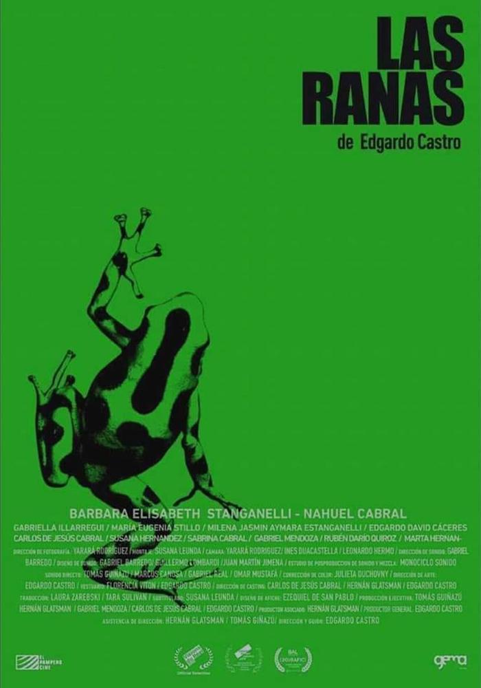 The film poster in simple grass green with a black frog on it.