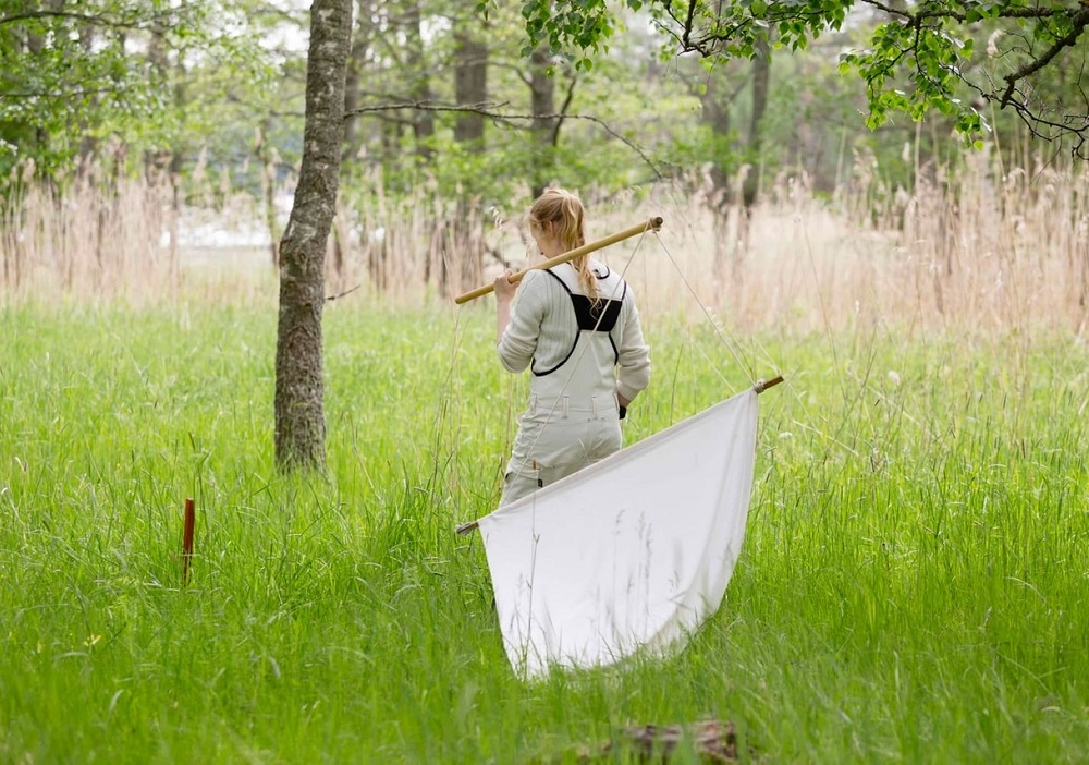 A young woman dragging a net through a meadow to collect some specimens for analysis. 