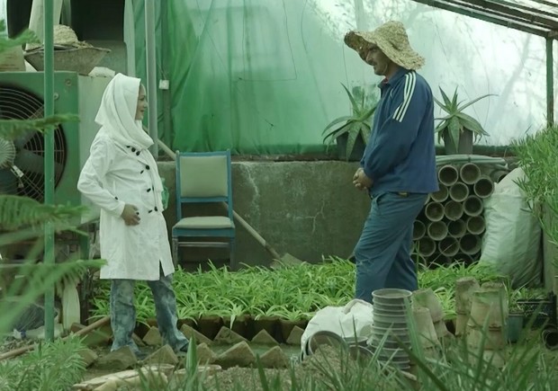 A woman and a man talking in a greenhouse.
