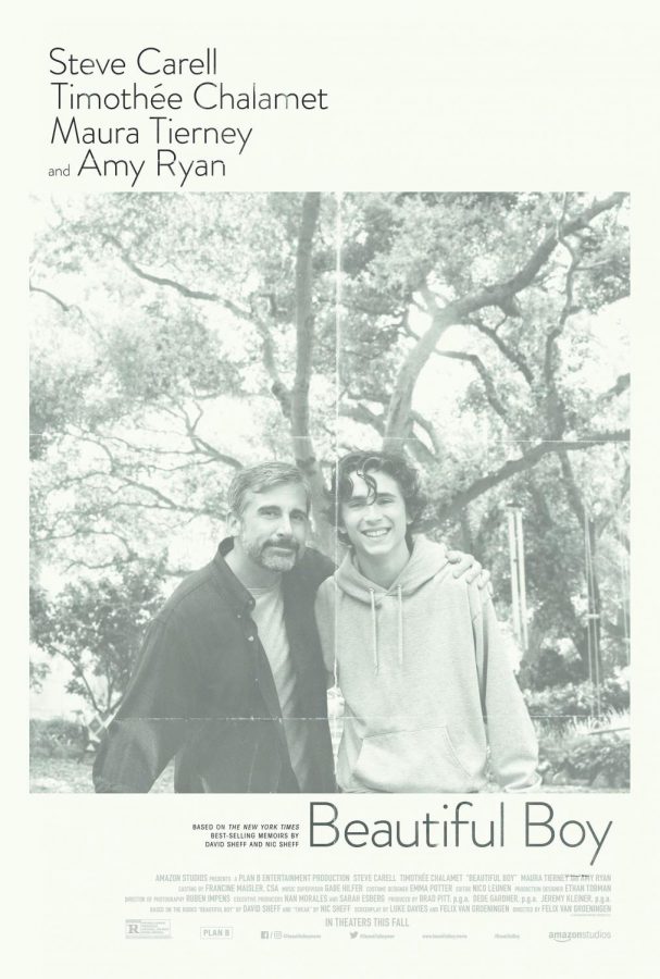 The film poster showing David (Steve Carell) hugging Nic (Timothée Chalamet).