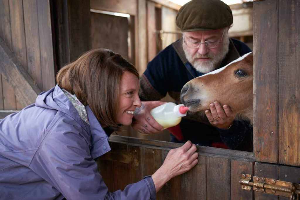 Jan (Toni Collette) and Brian (Owen Teale) giving Dream as a foal the bottle.