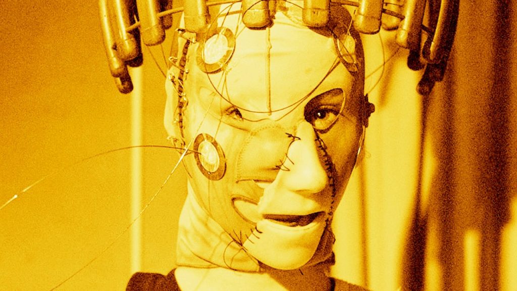 A head wearing a mask stitched together haphazardly from very different parts.