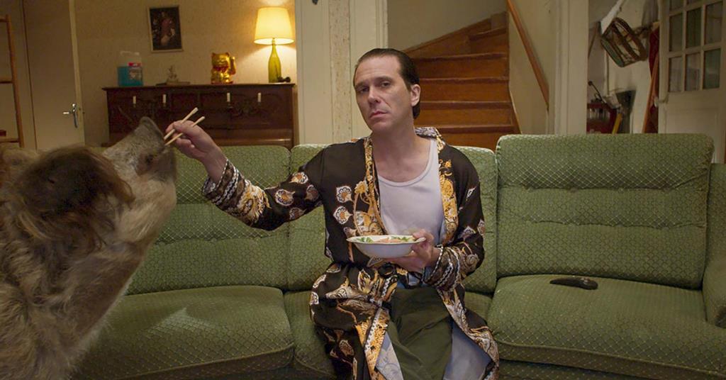 A guy in a silk bathrobe sitting on a sofa as he feeds a giant pig by using chopsticks.