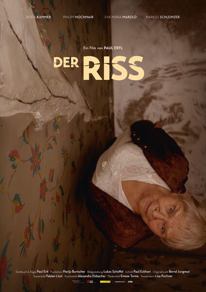 The film poster showing Ms Pospisil (Berta Kammer) standing in front of a crack in her wall. 