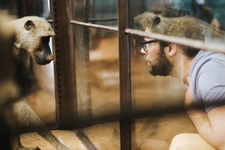 András Dés with a hand on his chest, crouching in front of a stuffed monkey.