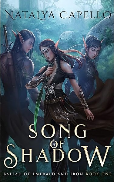 The book cover showing hree elves in dark clothes, two with swords, one male, two female. 