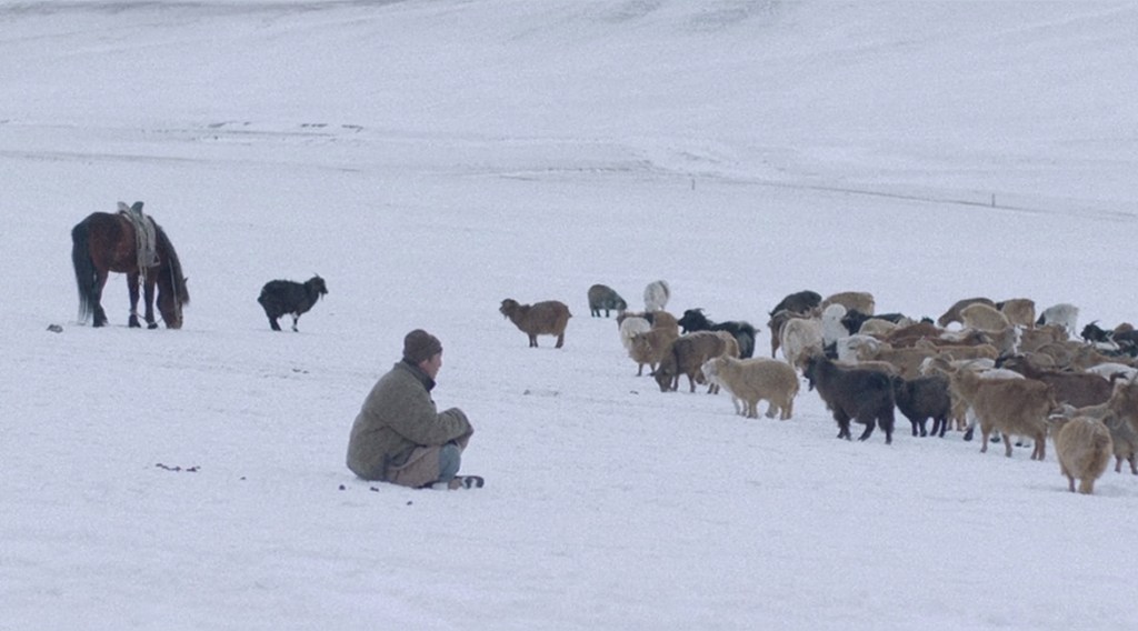 Sukhbat's father (Batsaikhan Budee) watching a herd of goats in the snow.