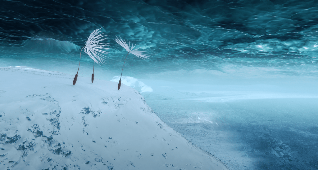 Three dandelion seeds looking down an icy cliff towards a stormy sea.