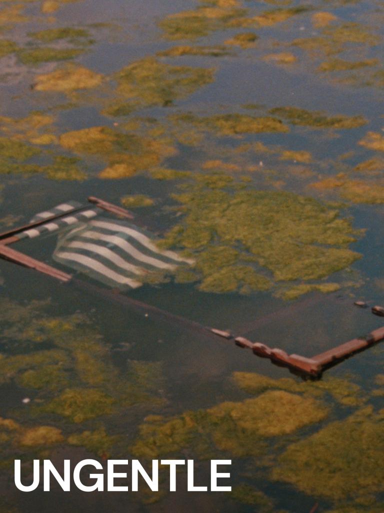 The movie poster showing a wooden folding chair swimming in a pond.