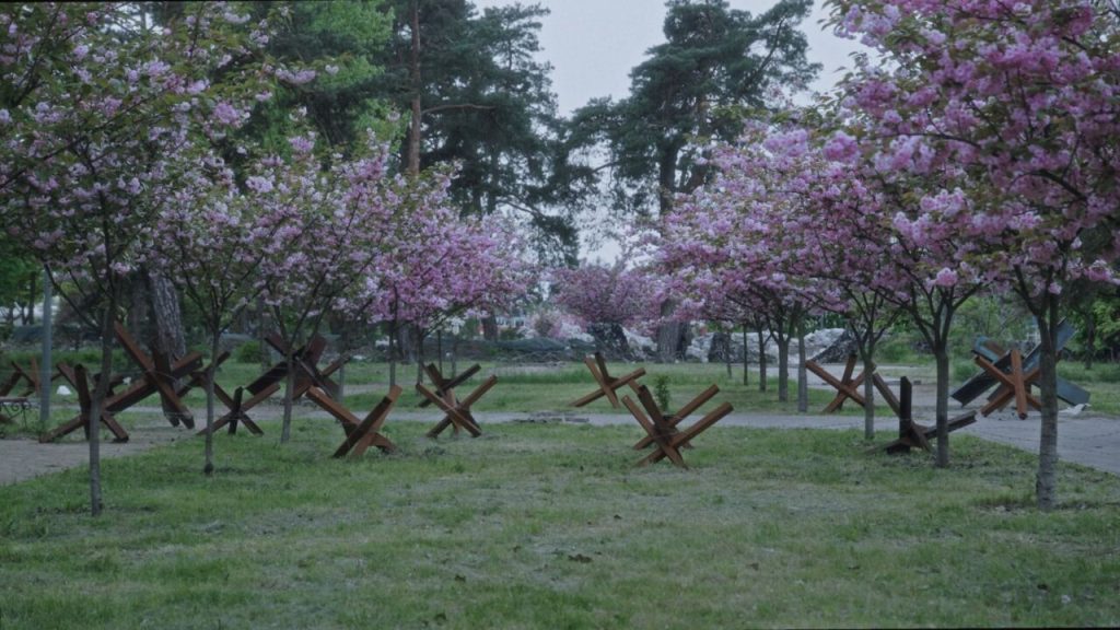 A park full of blooming trees and metal barricades. 