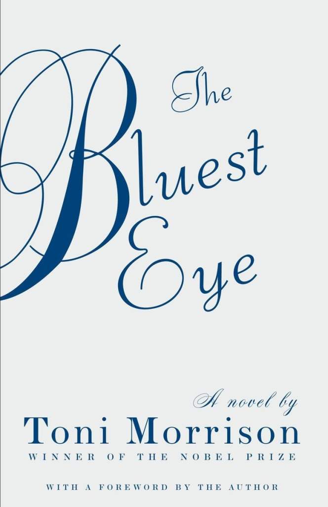 The book cover in simple gray with the book title in blue cursive letters.