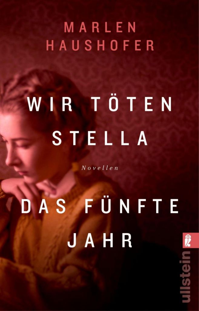 The book cover showing a blurry picture of a young woman with braided hair.